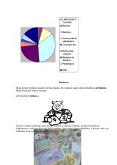 Projektas: ‚,Mano šeimos biudžetas“ 6 puslapis