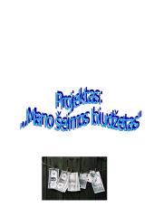 Projektas: ‚,Mano šeimos biudžetas“ 7 puslapis