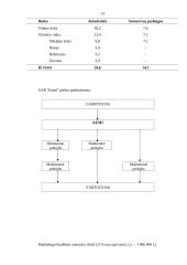 Marketingo kontrolinis darbas 13 puslapis