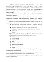Marketingo kontrolinis darbas 3 puslapis