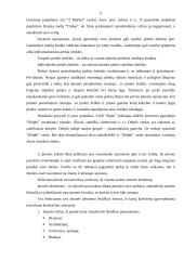 Marketingo kontrolinis darbas 6 puslapis