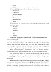 Marketingo kontrolinis darbas 7 puslapis