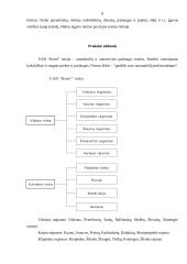 Marketingo kontrolinis darbas 8 puslapis