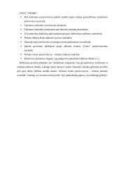 Marketingo komplekso vertinimas: prezervatyvai "Durex" 11 puslapis