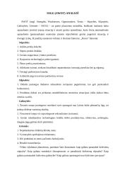 Marketingo komplekso vertinimas: prezervatyvai "Durex" 12 puslapis