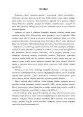 Marketingo komplekso vertinimas: prezervatyvai "Durex" 13 puslapis