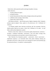 Marketingo komplekso vertinimas: prezervatyvai "Durex" 3 puslapis