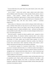 Marketingo komplekso vertinimas: prezervatyvai "Durex" 4 puslapis