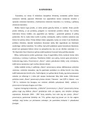 Marketingo komplekso vertinimas: prezervatyvai "Durex" 6 puslapis