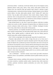 Marketingo komplekso vertinimas: prezervatyvai "Durex" 10 puslapis
