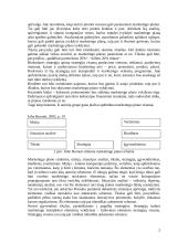 Marketingo planas 2 puslapis