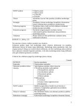 Marketingo planas 5 puslapis