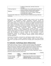 Marketingo planas 6 puslapis