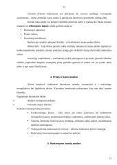 Marketingo planas: siuvimo paslaugos 11 puslapis