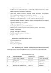 Marketingo planas: siuvimo paslaugos 14 puslapis