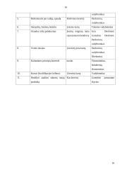 Marketingo planas: siuvimo paslaugos 15 puslapis