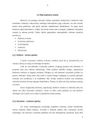 Marketingo planas: siuvimo paslaugos 5 puslapis