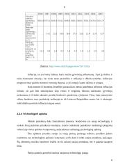 Marketingo planas: siuvimo paslaugos 7 puslapis