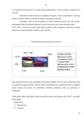 Marketingo planas: siuvimo paslaugos 9 puslapis