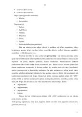 Marketingo planas: siuvimo paslaugos 10 puslapis