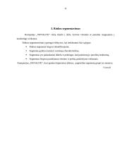 Marketingo programa: higieninių įklotų ir vaikiškų sauskelnių gamyba "Winalite" 11 puslapis