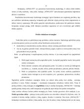 Marketingo programa: higieninių įklotų ir vaikiškų sauskelnių gamyba "Winalite" 13 puslapis