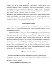 Marketingo programa: higieninių įklotų ir vaikiškų sauskelnių gamyba "Winalite" 14 puslapis