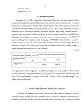 Marketingo programa: higieninių įklotų ir vaikiškų sauskelnių gamyba "Winalite" 17 puslapis