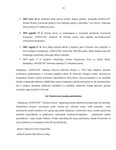 Marketingo programa: higieninių įklotų ir vaikiškų sauskelnių gamyba "Winalite" 19 puslapis