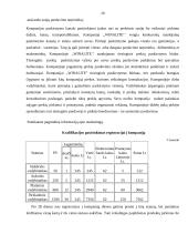 Marketingo programa: higieninių įklotų ir vaikiškų sauskelnių gamyba "Winalite" 20 puslapis