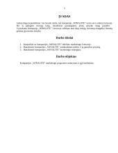 Marketingo programa: higieninių įklotų ir vaikiškų sauskelnių gamyba "Winalite" 3 puslapis