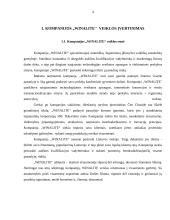 Marketingo programa: higieninių įklotų ir vaikiškų sauskelnių gamyba "Winalite" 4 puslapis