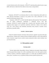 Marketingo programa: higieninių įklotų ir vaikiškų sauskelnių gamyba "Winalite" 8 puslapis