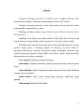 Marketingo strateginio planavimo reikšmė, esmė bei proceso stadijos 3 puslapis