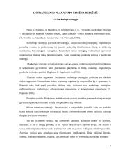 Marketingo strateginio planavimo reikšmė, esmė bei proceso stadijos 4 puslapis