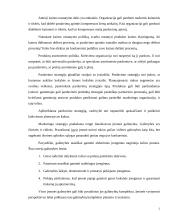 Marketingo strateginio planavimo reikšmė, esmė bei proceso stadijos 5 puslapis