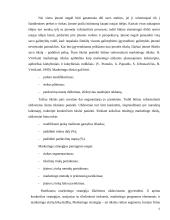 Marketingo strateginio planavimo reikšmė, esmė bei proceso stadijos 6 puslapis