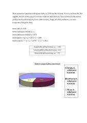 Matematikos tiriamasis darbas 2 puslapis