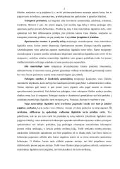 Materialiojo ilgalaikio turto apskaita 2 puslapis