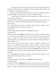 Medicinos darbuotojų kalbos klaidų rinkimas ir analizė 2 puslapis