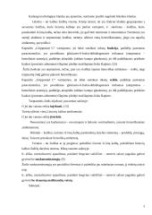 Medicinos darbuotojų kalbos klaidų rinkimas ir analizė 4 puslapis