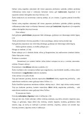 Medicinos darbuotojų kalbos klaidų rinkimas ir analizė 5 puslapis