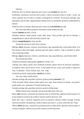 Medicinos darbuotojų kalbos klaidų rinkimas ir analizė 6 puslapis