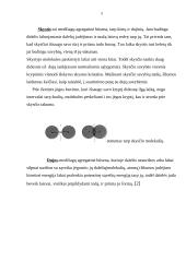 Medžiagos agregatinės būsenos 5 puslapis