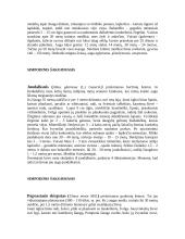 Medžiai ir jų šakojimasis 4 puslapis