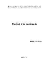 Medžiai ir jų šakojimasis 6 puslapis