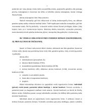 Pinigų kilmė bei funkcija, naudingumo teorija, monopolinė rinka bei verslo organizavimo formos 7 puslapis