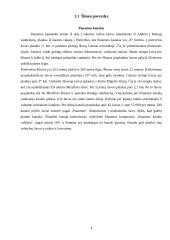 Modelio kūrimas: šliuzas 4 puslapis