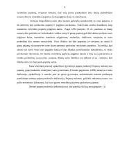 Gyventojų gaunamos pajamos 4 puslapis