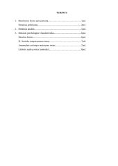 Mokymosi proceso stebėjimo praktika 2 puslapis